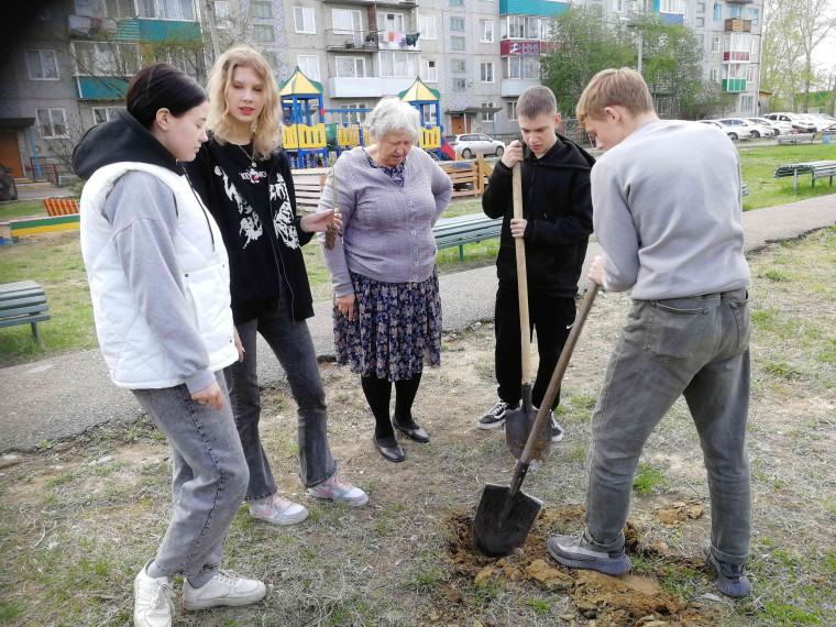 «САД - СВЯЗЬ ПОКОЛЕНИЙ».