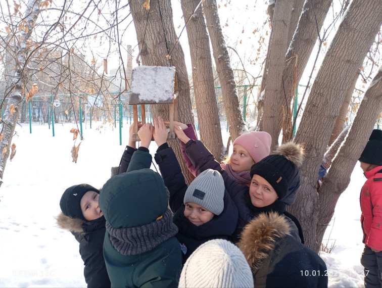 Экологическая акция «Кормушка».